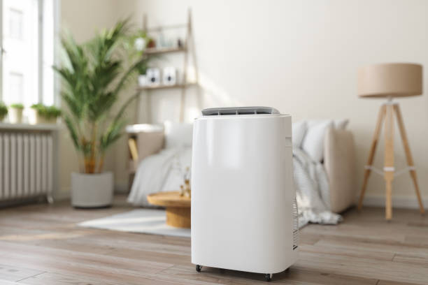 Best Ductless Mini-Split Systems in Manchester, MI